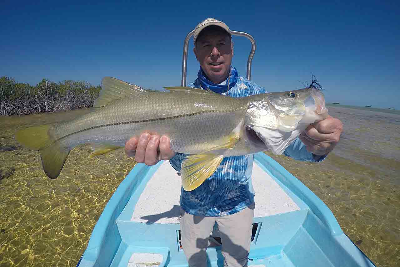 Snook Ascension Bay Mexico Fly Fishing Lodge